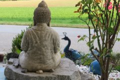 BuddhaRuecken2-min-min