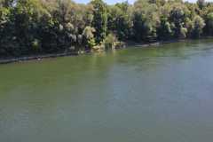 Sogar die Donau ist grün