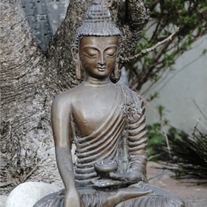 was-der-buddha-lehrt